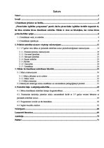 Diplomdarbs 'Mīklas kā domāšanas attīstīšanas līdzeklis 5-7 gadus veciem bērniem ar psihiskās', 2.