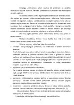 Diplomdarbs 'Mīklas kā domāšanas attīstīšanas līdzeklis 5-7 gadus veciem bērniem ar psihiskās', 21.