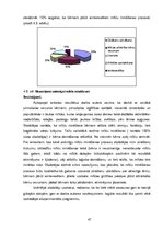 Diplomdarbs 'Mīklas kā domāšanas attīstīšanas līdzeklis 5-7 gadus veciem bērniem ar psihiskās', 47.