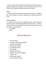 Biznesa plāns 'Bakery and Cafe "Le Bonheur"', 4.