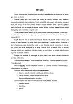 Referāts 'Smēķēšanas problēma jauniešu vidū', 1.