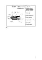 Referāts 'Smēķēšanas problēma jauniešu vidū', 13.