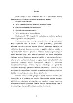 Referāts 'Uzņēmuma darbības analīze, stratēģijas izstrāde un iedibināšanas iespējas', 3.