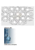 Konspekts 'Liela mēroga pasākuma plānojums', 4.
