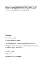 Konspekts 'Liela mēroga pasākuma plānojums', 6.