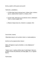 Konspekts 'Liela mēroga pasākuma plānojums', 7.