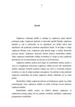 Referāts 'Rentabilitātes paaugstināšanas iespējas uzņēmumā', 1.