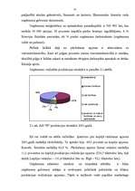 Referāts 'Rentabilitātes paaugstināšanas iespējas uzņēmumā', 18.