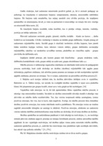 Referāts '15 - 19 gadus vecu jauniešu solabiedra izvēles kritēriji mācību procesā', 5.