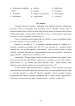 Referāts '15 - 19 gadus vecu jauniešu solabiedra izvēles kritēriji mācību procesā', 15.