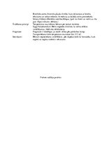 Prakses atskaite 'Kvalifikācijas prakses dienasgrāmata', 14.