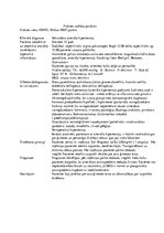 Prakses atskaite 'Kvalifikācijas prakses dienasgrāmata', 16.