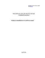 Referāts 'Industrijas analīze uzņēmumam', 1.