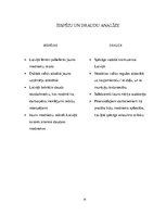 Referāts 'Industrijas analīze uzņēmumam', 14.