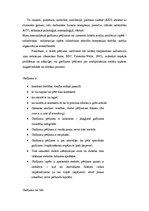 Eseja 'Pārskats par teksta analīzes metodēm', 7.