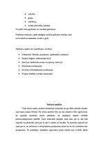 Eseja 'Pārskats par teksta analīzes metodēm', 8.