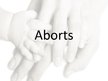 Prezentācija 'Aborts', 1.