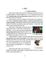 Referāts 'Pupiņu kafija', 4.
