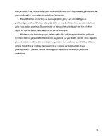 Referāts 'Policijas speciālā taktika', 16.