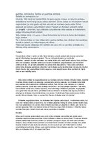 Prezentācija 'Veļi', 11.