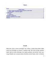 Referāts 'Krāsu uztveres psiholoģija', 2.