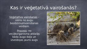 Prezentācija 'Veģetatīvā vairošanās', 2.