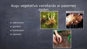 Prezentācija 'Veģetatīvā vairošanās', 4.