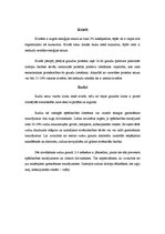 Referāts 'Lopbarības veidi', 13.