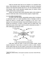 Diplomdarbs 'Latvijas ostu organizācija un attīstības iespējas', 11.