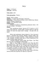 Konspekts 'Polija, Varšava, Krakova', 1.