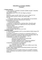 Paraugs 'Līgums par sabiedrības ar ierobežotu atbildību dibināšanu', 12.