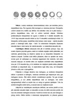 Konspekts 'Fotoaparāta uzbūve un darbība', 5.