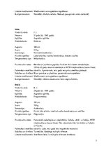 Paraugs 'Sportista anamnēze', 3.