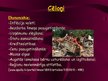 Prezentācija 'Nabadzība kā sociāla problēma', 12.