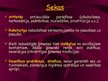 Prezentācija 'Nabadzība kā sociāla problēma', 15.