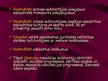 Prezentācija 'Nabadzība kā sociāla problēma', 22.