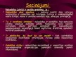 Prezentācija 'Nabadzība kā sociāla problēma', 29.