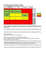 Paraugs 'Weekly plan of Individual Volunteering Activities for final report (European Sol', 2.