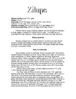 Referāts 'Zilupe', 1.