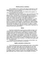 Referāts 'Zilupe', 3.