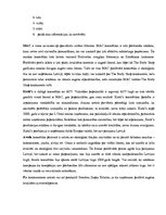 Referāts 'Zīmols, tā рriekšrocības no рircēju un uzņēmumu viedokļa', 13.