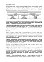 Eseja 'Uzņēmuma X raksturojums', 3.