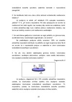 Referāts 'Multirezistentā tuberkuloze un tās ierobežošanas iespējas', 20.