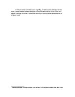 Referāts 'Vizmas Belševicas darba "Bille" analīze, izmantojot biogrāfisko metodi', 2.