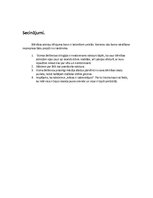 Referāts 'Vizmas Belševicas darba "Bille" analīze, izmantojot biogrāfisko metodi', 7.