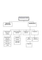 Biznesa plāns 'Viesnīca "Akvārijs"', 8.