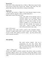 Biznesa plāns 'Viesnīca "Akvārijs"', 16.