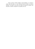 Biznesa plāns 'Viesnīca "Akvārijs"', 20.