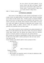 Biznesa plāns 'Viesnīca "Akvārijs"', 23.