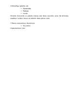 Biznesa plāns 'Viesnīca "Akvārijs"', 29.